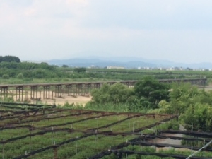 Thumbnail of post image 154