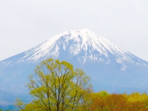Thumbnail of post image 076